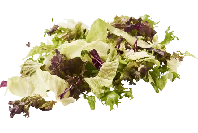 Horeca slamix zak 500gr stuk